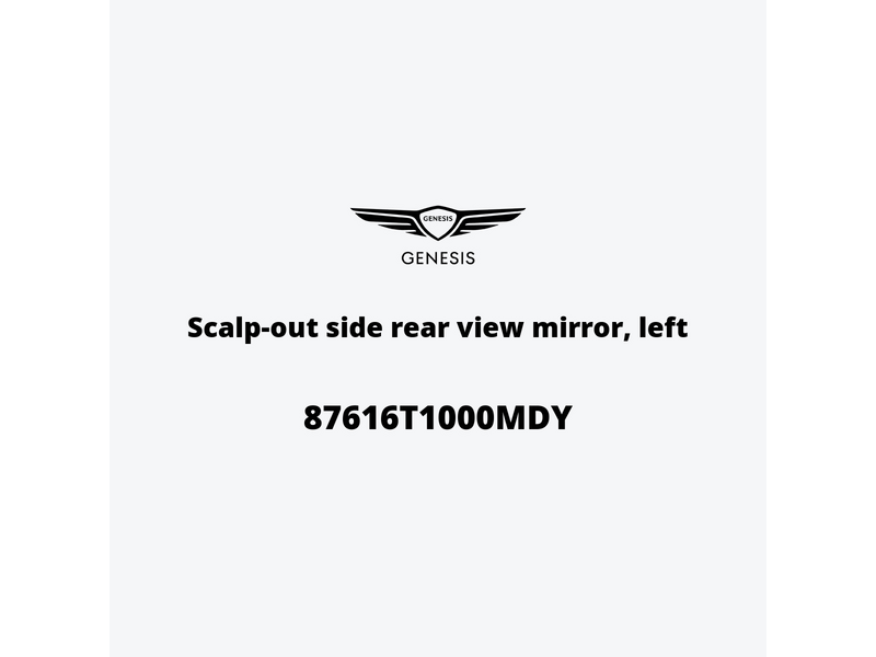 scalp-out-side-rear-view-mirror-left-87616t1000mdy