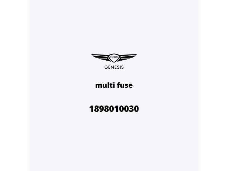 multi-fuse-1898010030-es