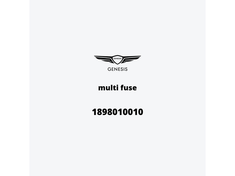 multi-fuse-1898010010-it