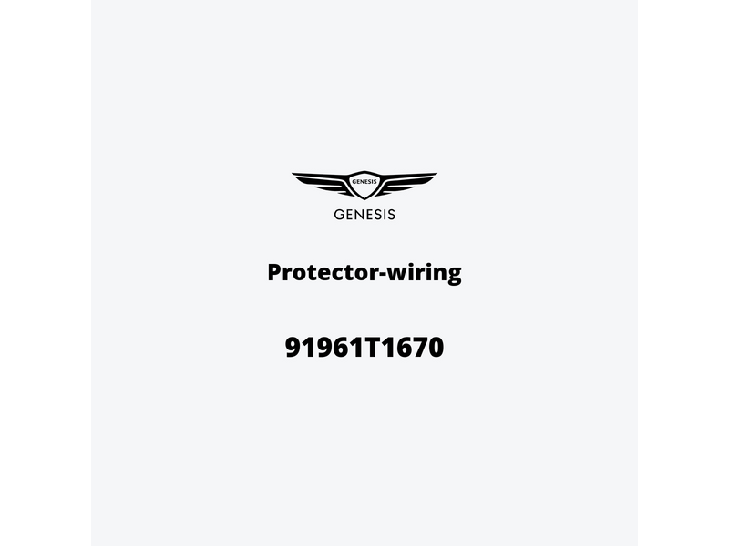 protector-wiring-91961t1670-it