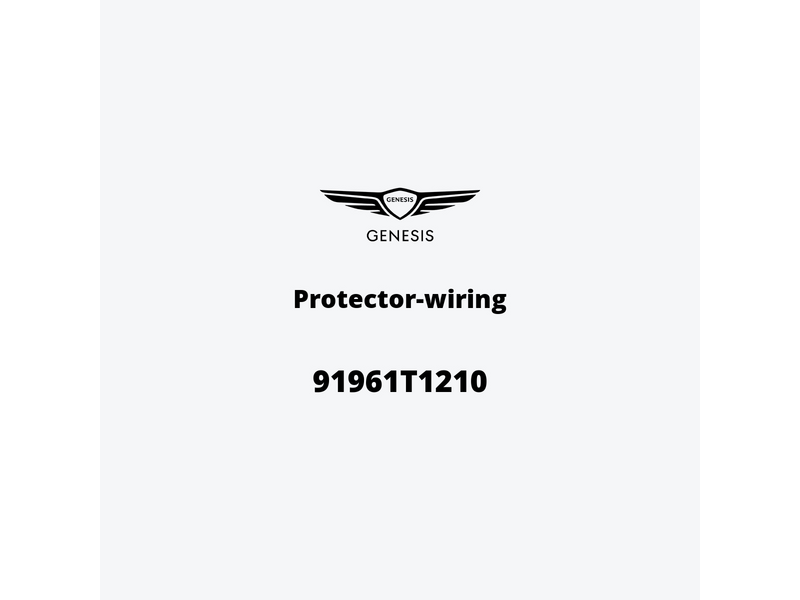 protector-wiring-91961t1210-it