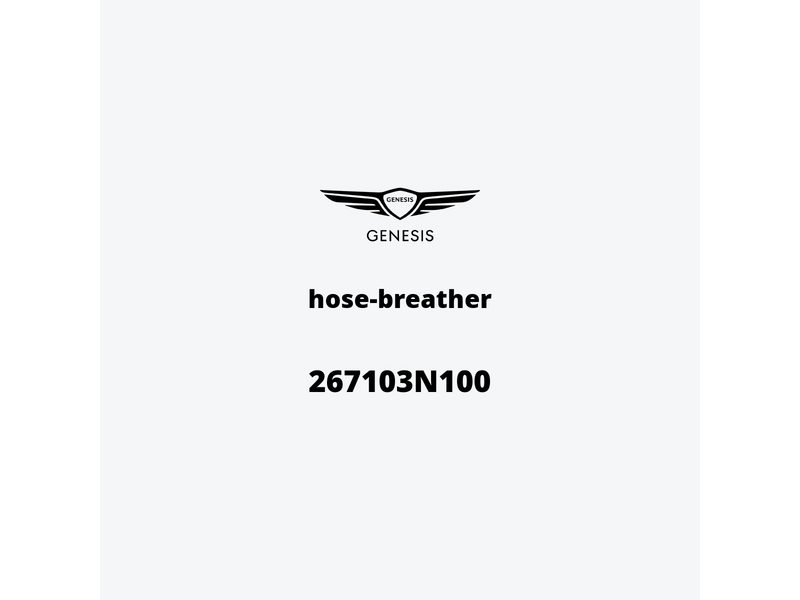 hose-breather-267103n100-de