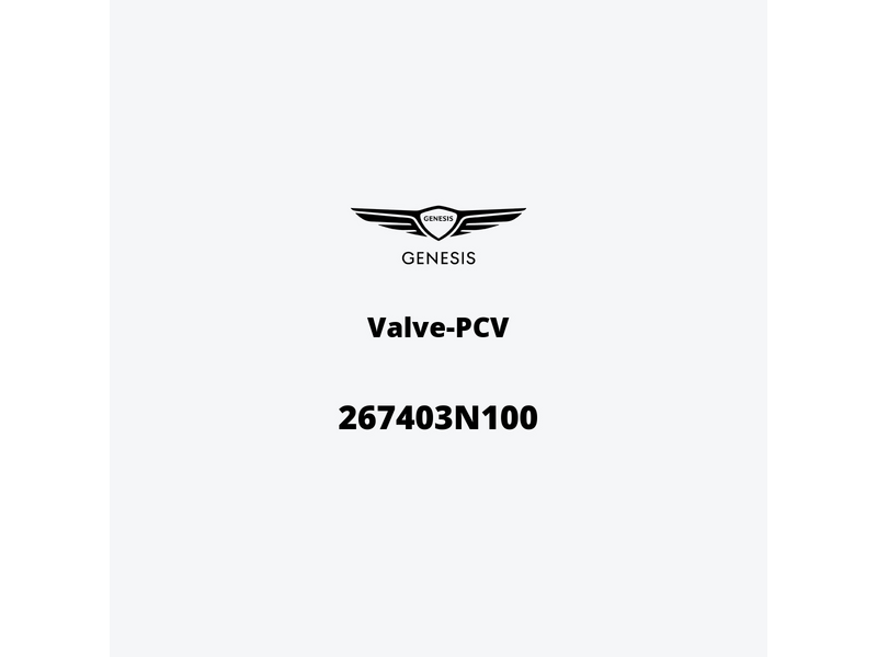 valve-pcv-267403n100-de