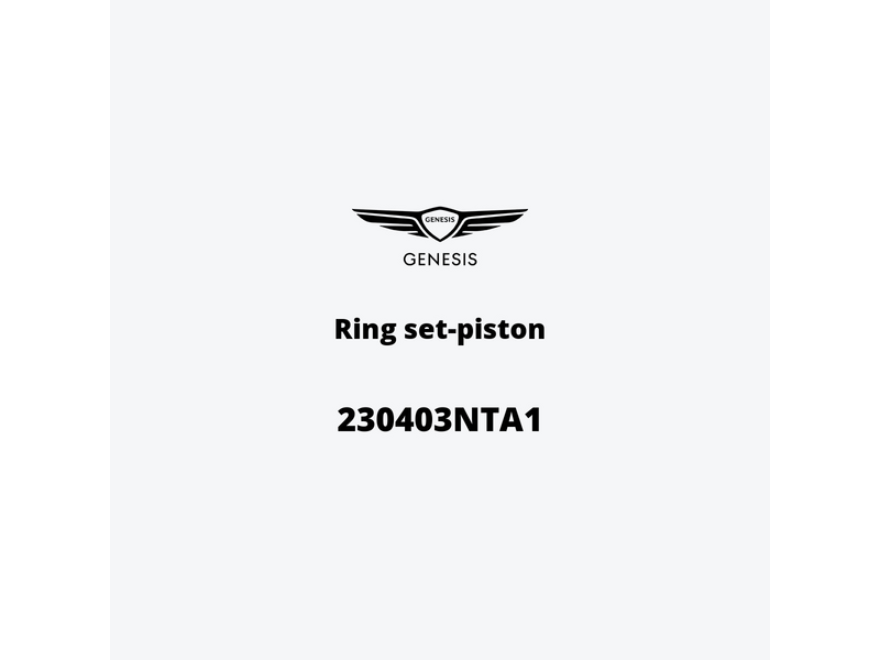 ring-set-piston-230403nta1-ja