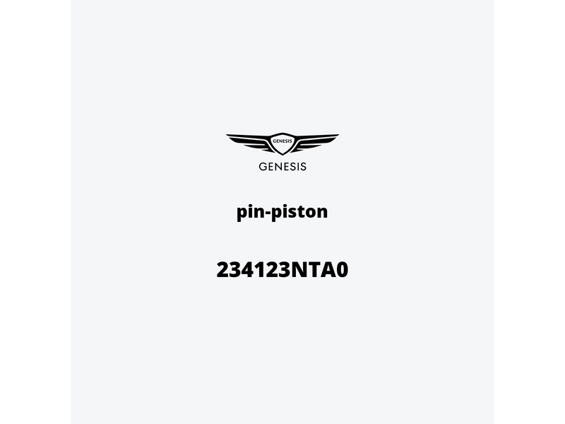 pin-piston-234123nta0-de