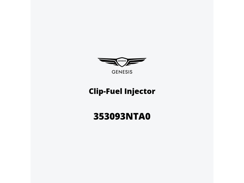 clip-fuel-injector-353093nta0-es