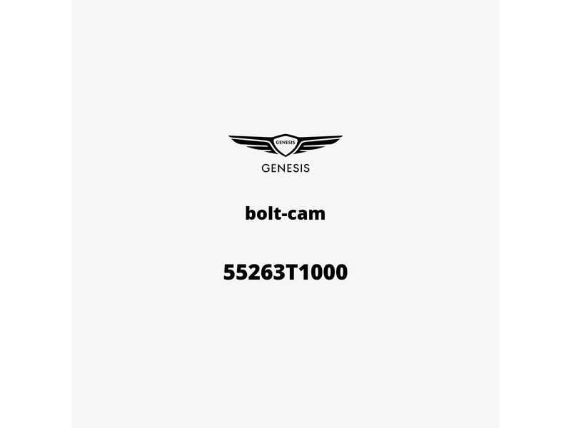 bolt-cam-55263t1000-de