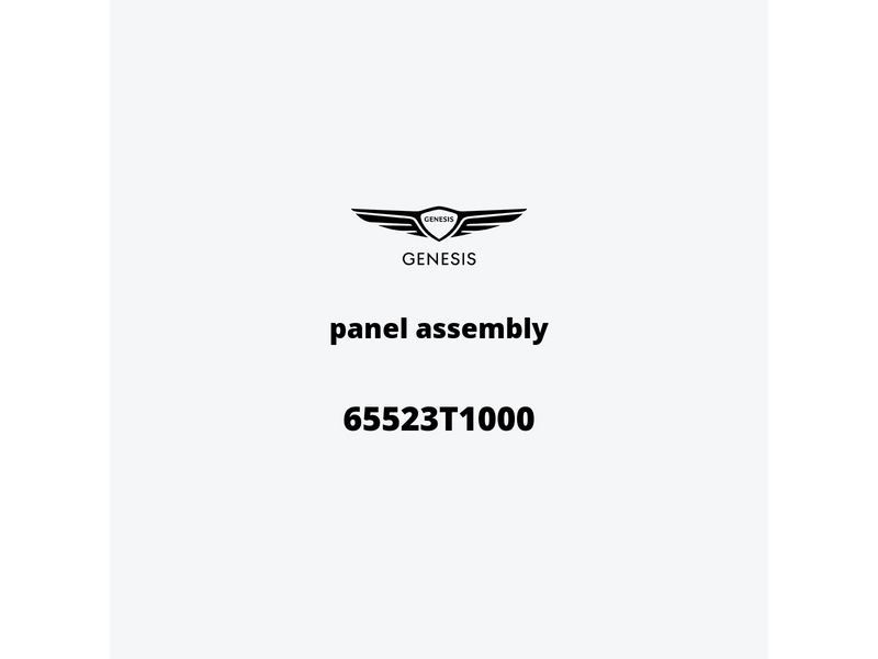 panel-assembly-65523t1000-it