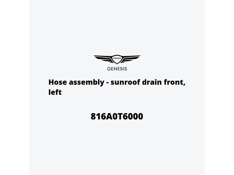 hose-assembly-sunroof-drain-front-left-816a0t6000-fr