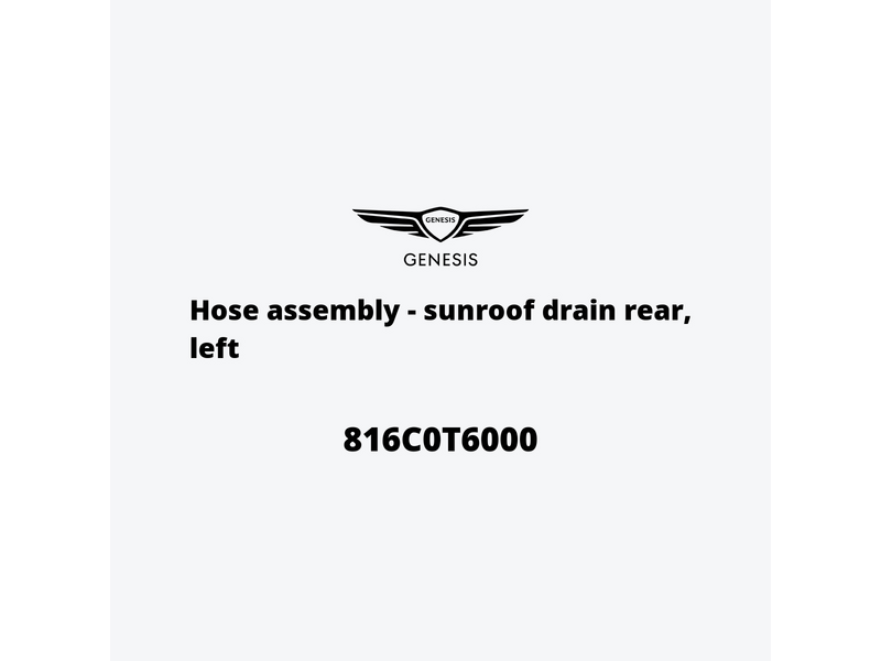 hose-assembly-sunroof-drain-rear-left-816c0t6000-pt