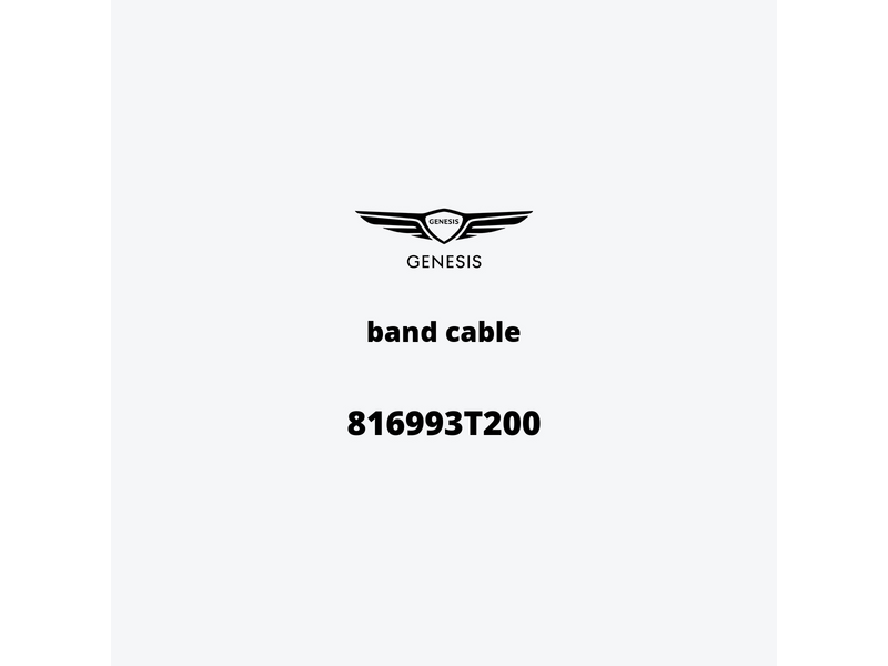 band-cable-816993t200