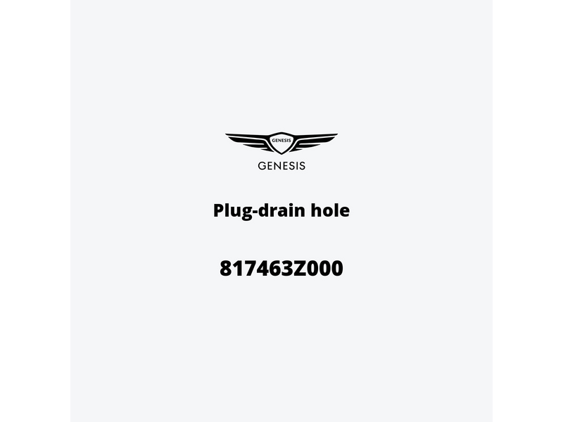 plug-drain-hole-817463z000-ja