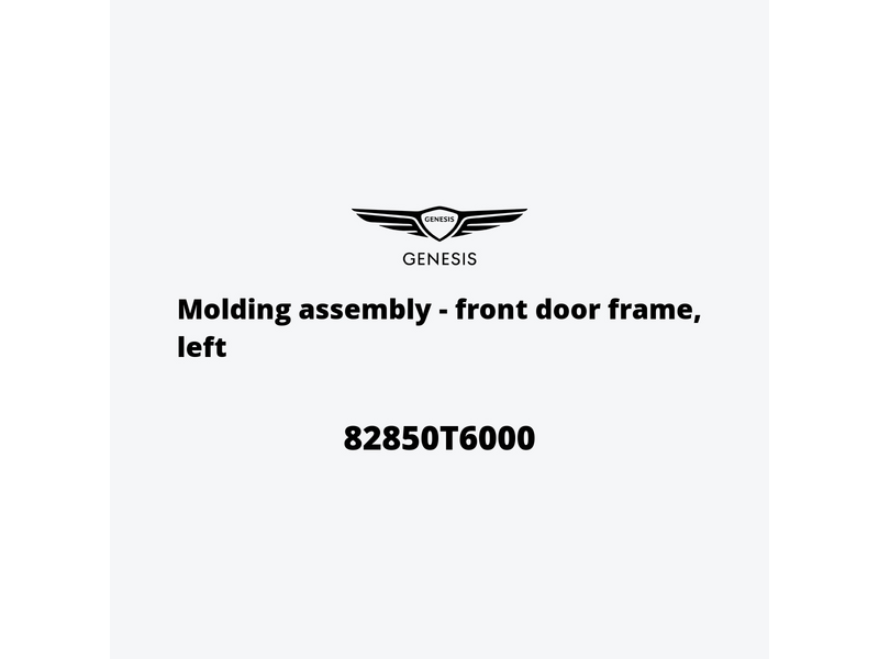 molding-assembly-front-door-frame-left-82850t6000-it