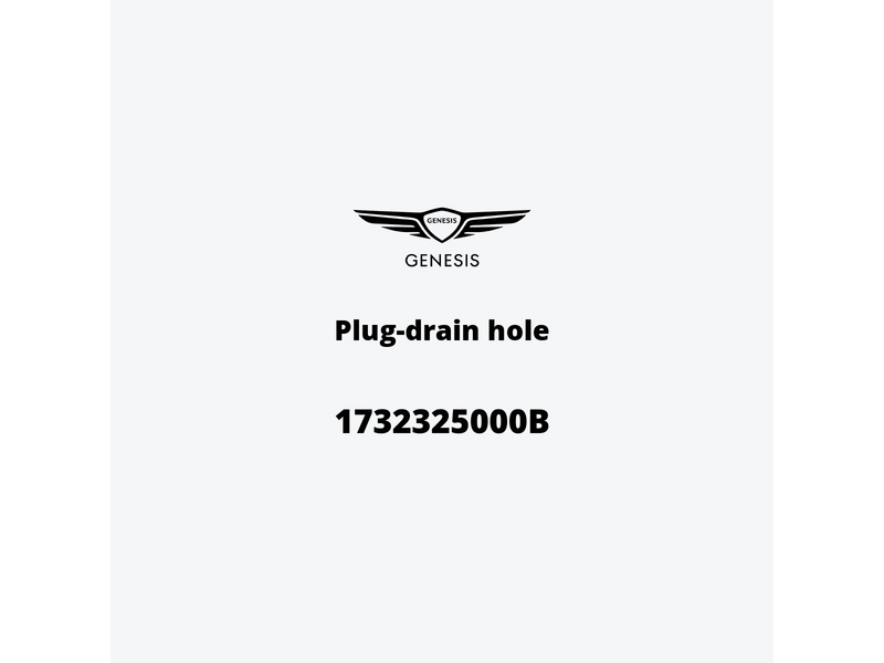 plug-drain-hole-1732325000b-fr