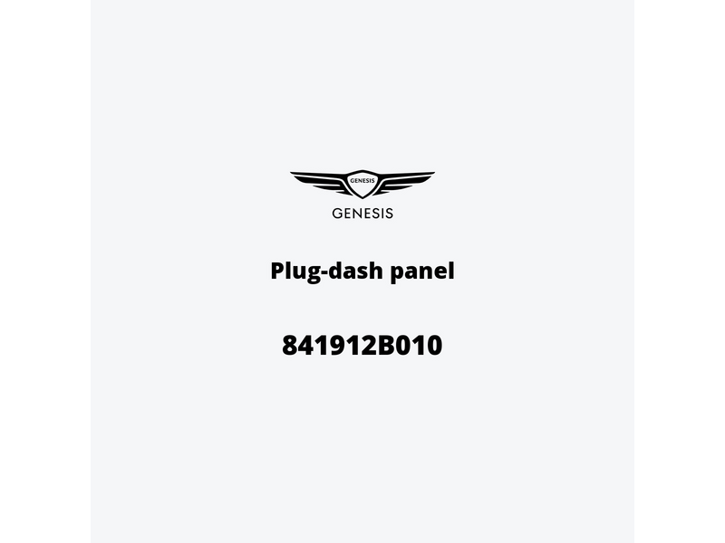 plug-dash-panel-841912b010-de