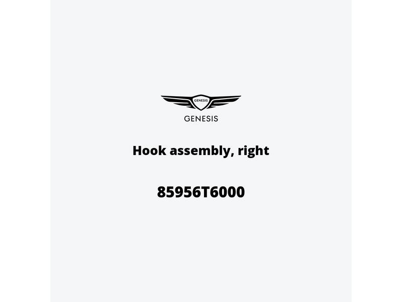 hook-assembly-right-85956t6000-es