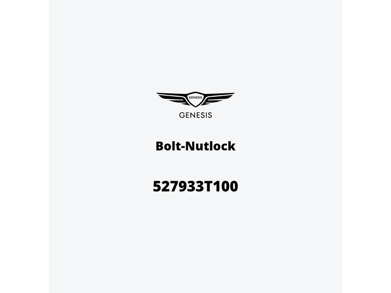 bolt-nutlock-527933t100-ja