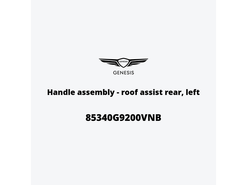 handle-assembly-roof-assist-rear-left-85340g9200vnb-pt