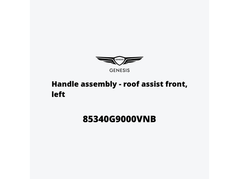 handle-assembly-roof-assist-front-left-85340g9000vnb-pt