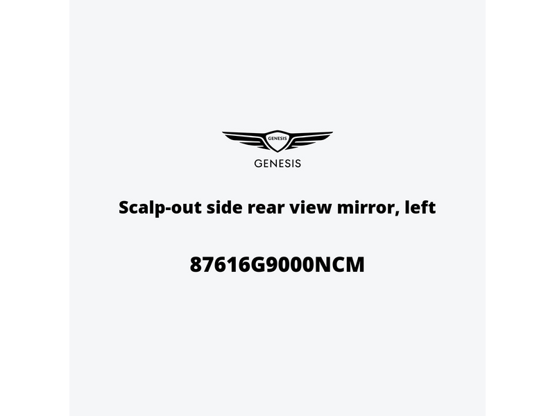 scalp-out-side-rear-view-mirror-left-87616g9000ncm-it