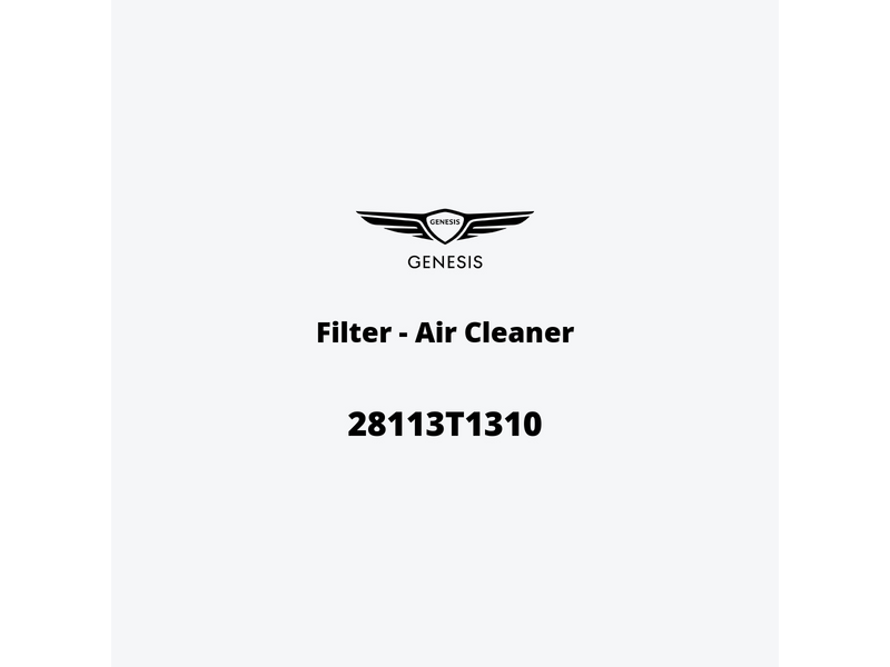 filter-air-cleaner-28113t1310-ja