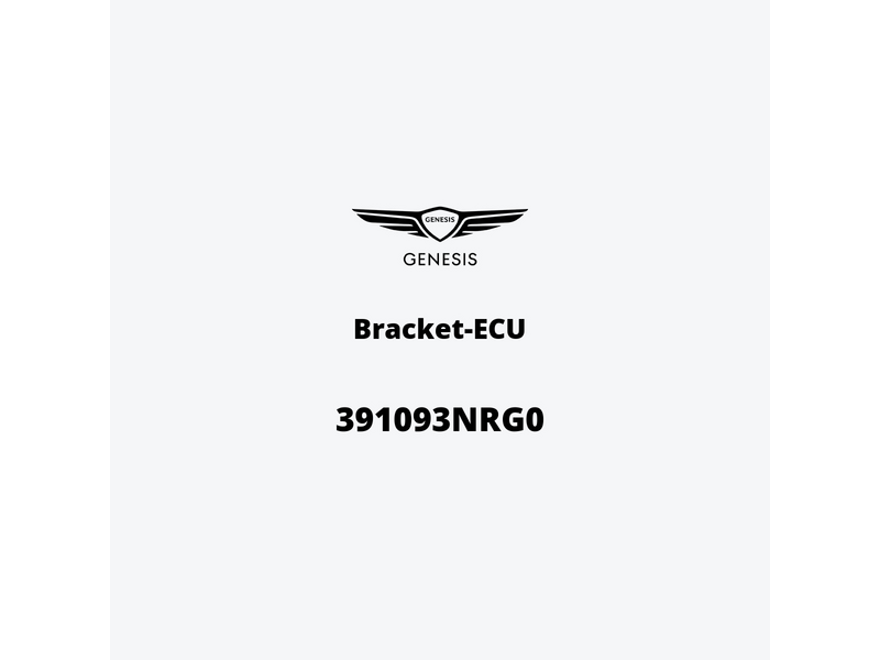 bracket-ecu-391093nrg0-pt