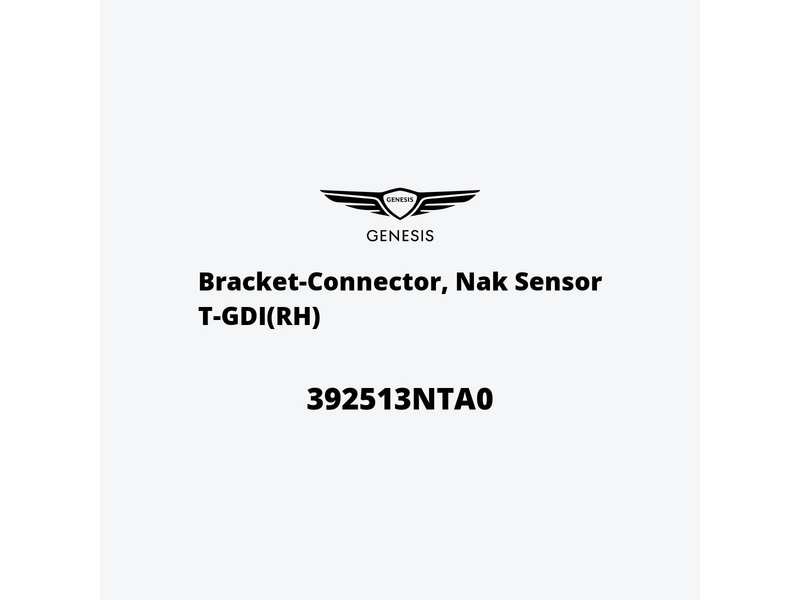 bracket-connector-nak-sensor-t-gdi-rh-392513nta0-ar