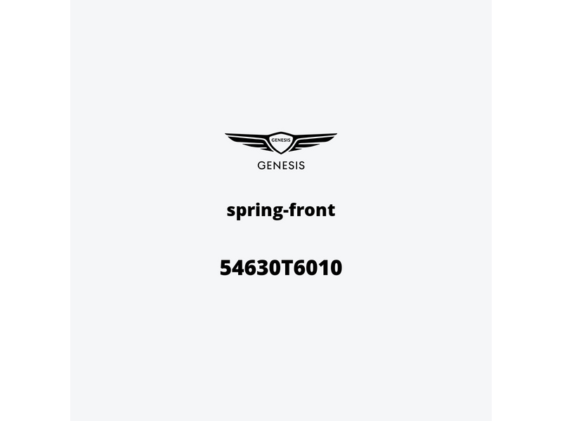 spring-front-54630t6010-it