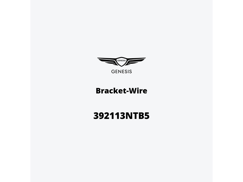 bracket-wire-392113ntb5-de