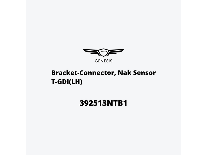 bracket-connector-nak-sensor-t-gdi-lh-392513ntb1-de