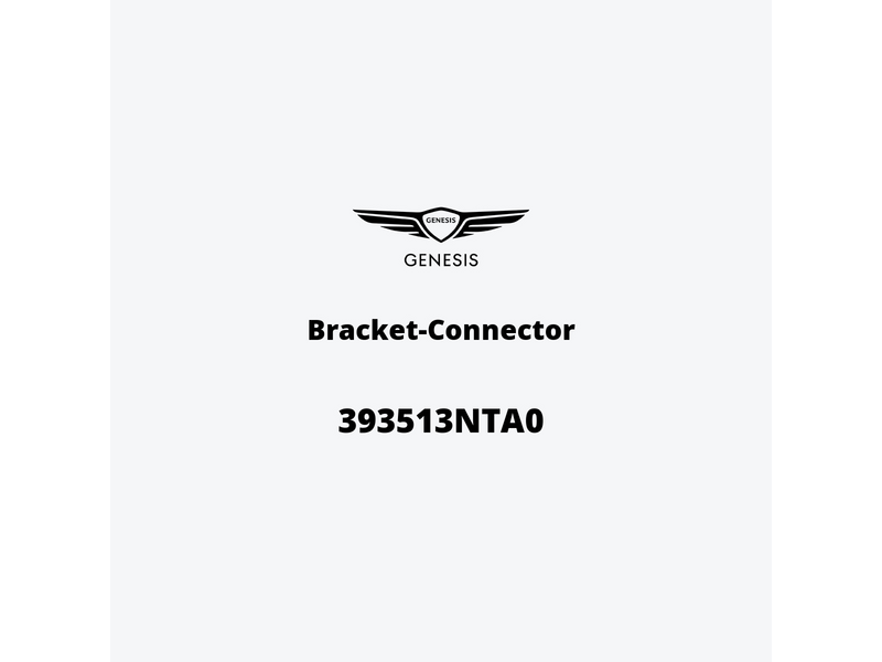 bracket-connector-393513nta0-es