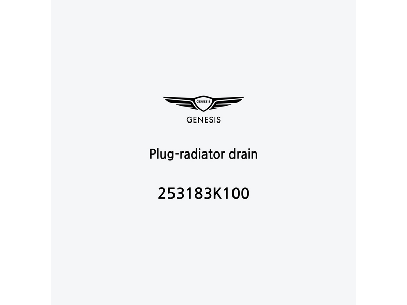 plug-radiator-drain-253183k100