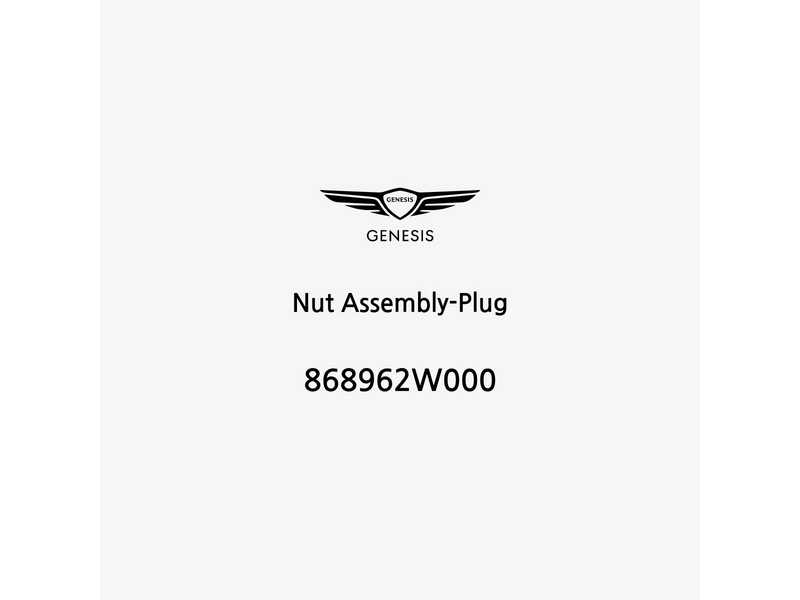 nut-assembly-plug-868962w000-pt