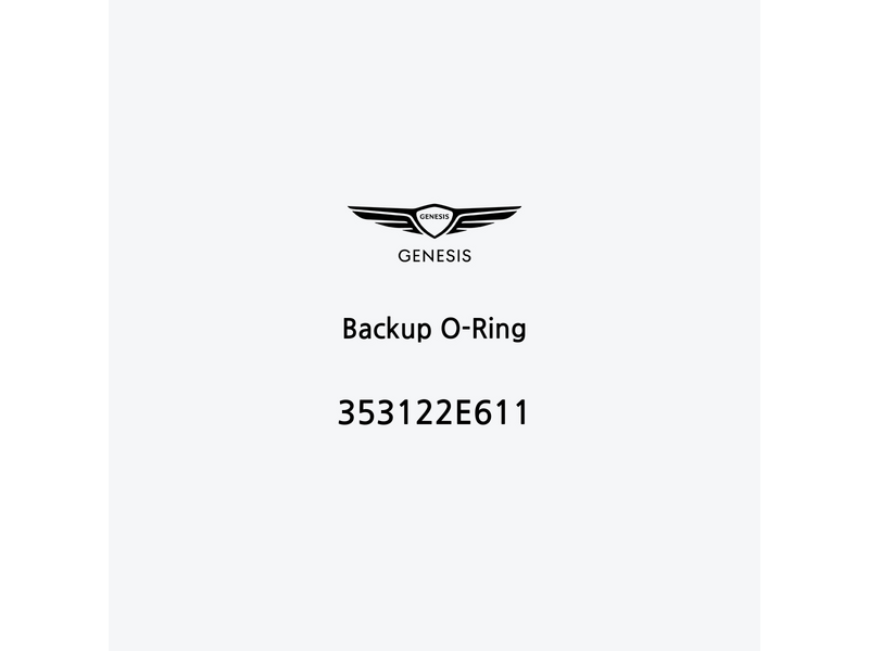 backup-o-ring-353122e611-fr