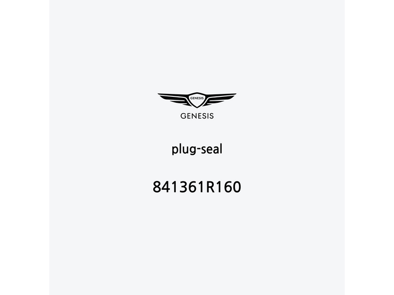 plug-seal-841361r160-fr