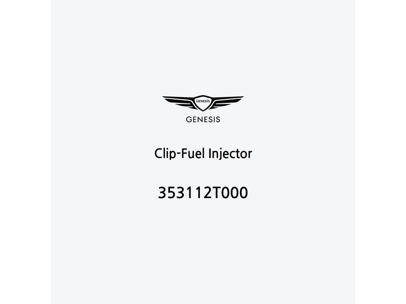 clip-fuel-injector-353112t000-es