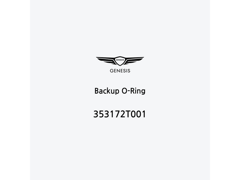 backup-o-ring-353172t001-de