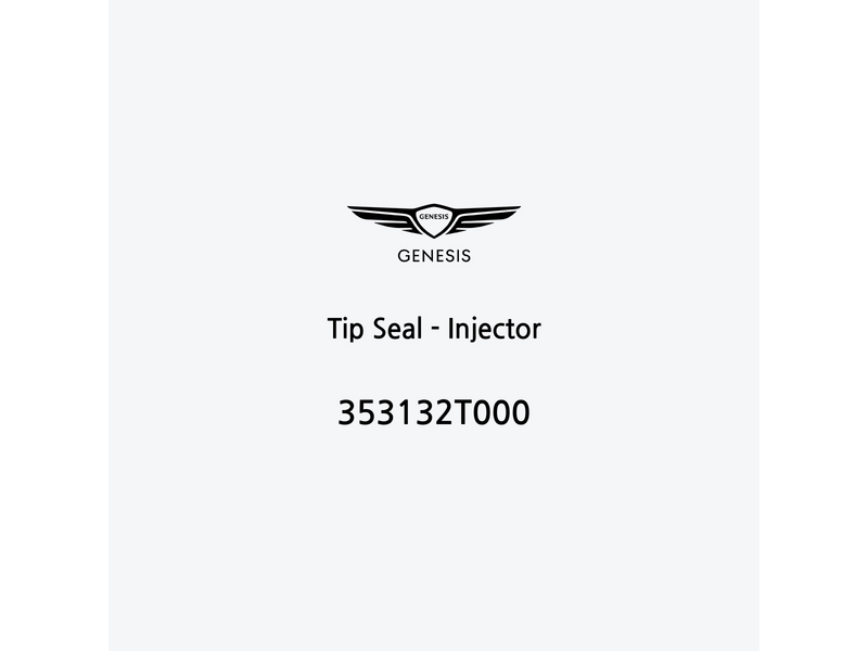 tip-seal-injector-353132t000-es