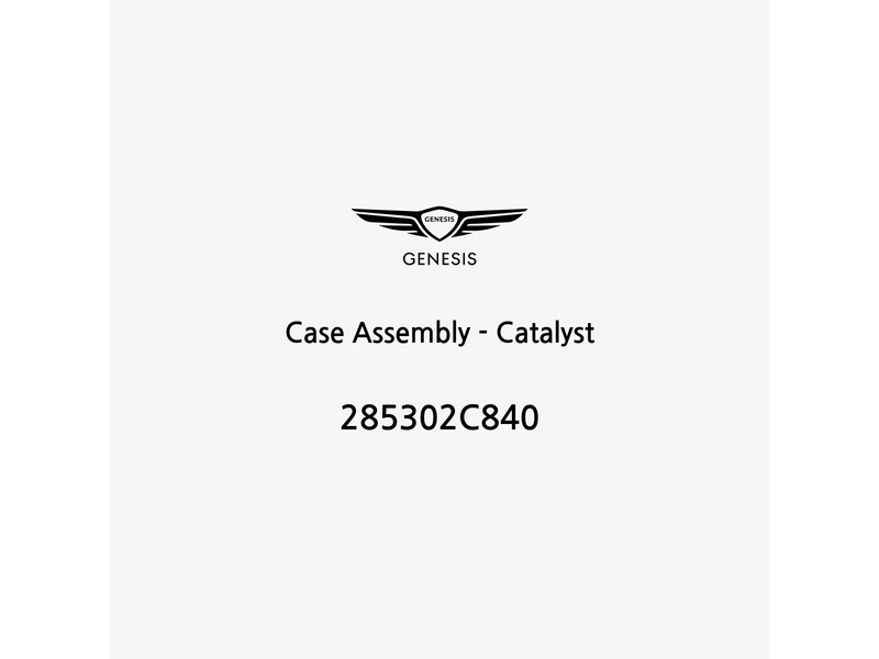 case-assembly-catalyst-285302c840-es