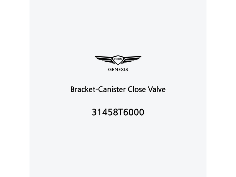 bracket-canister-close-valve-31458t6000-de