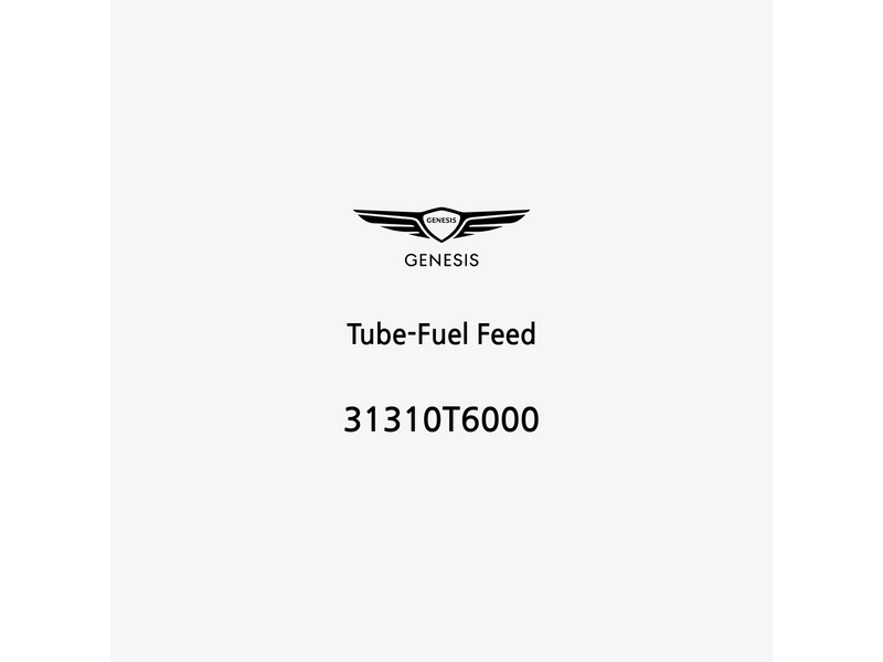 tube-fuel-feed-31310t6000-fr