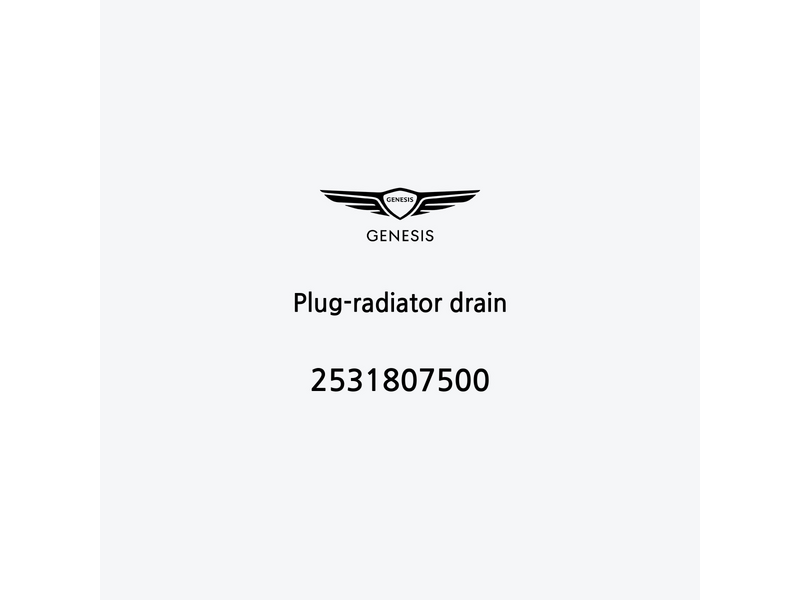 plug-radiator-drain-2531807500-ar