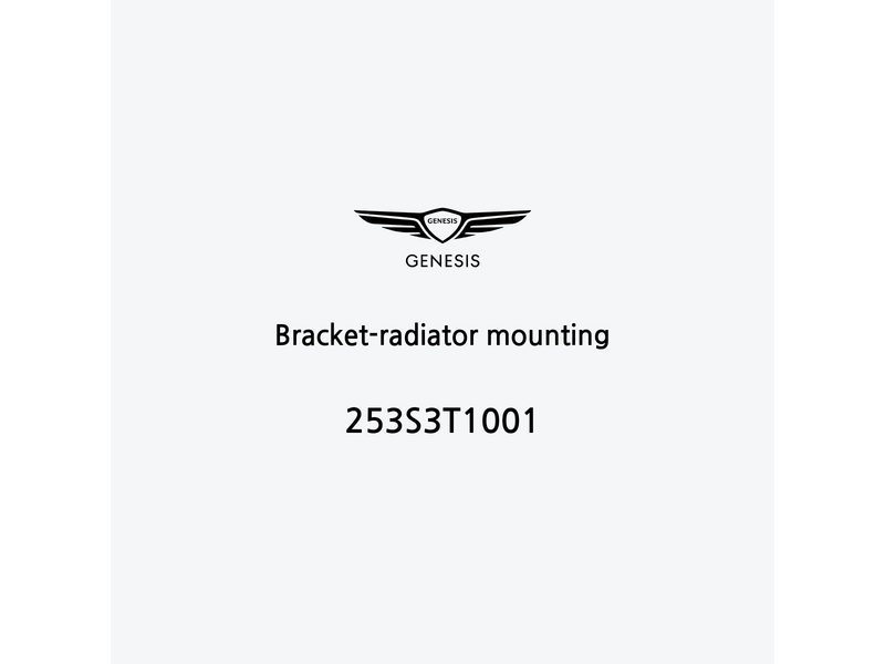 bracket-radiator-mounting-253s3t1001-ja