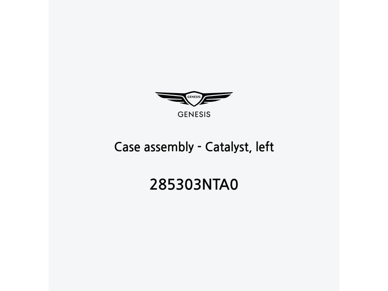 case-assembly-catalyst-left-285303nta0-fr