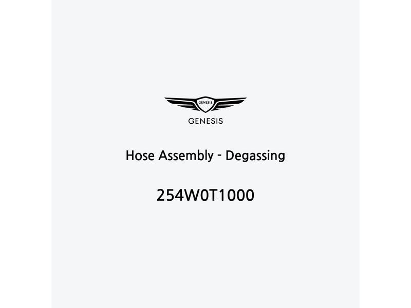 hose-assembly-degassing-254w0t1000