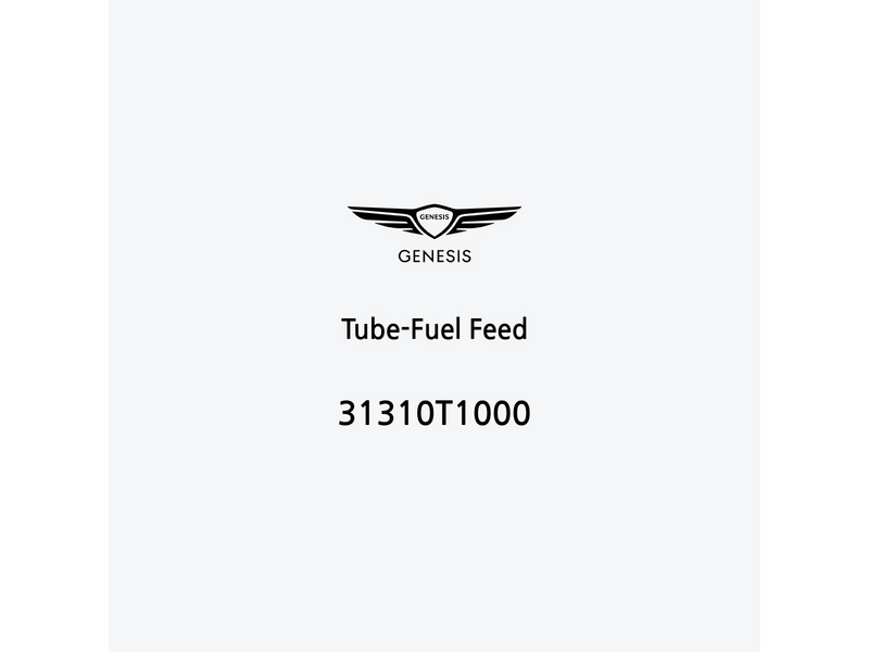 tube-fuel-feed-31310t1000-de