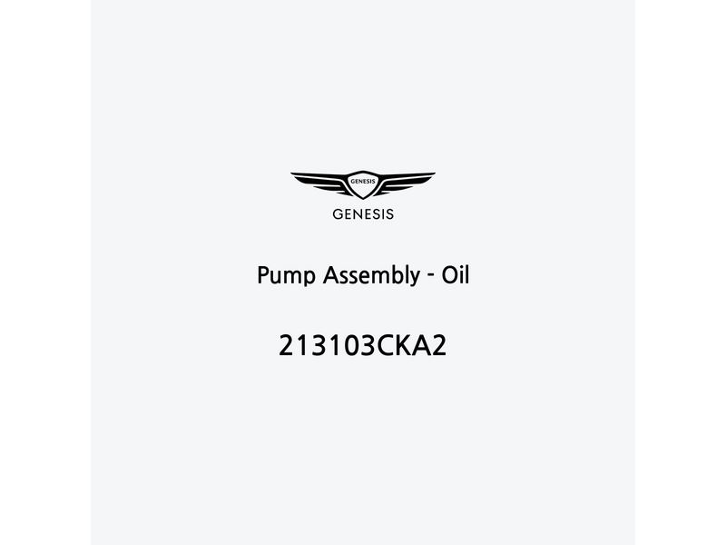 pump-assembly-oil-213103cka2