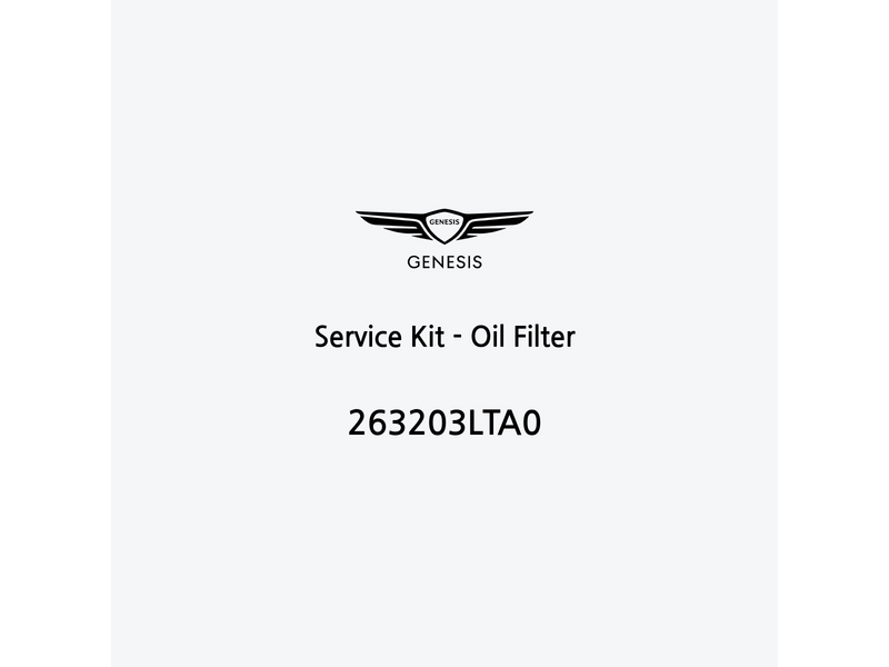 service-kit-oil-filter-263203lta0-pt