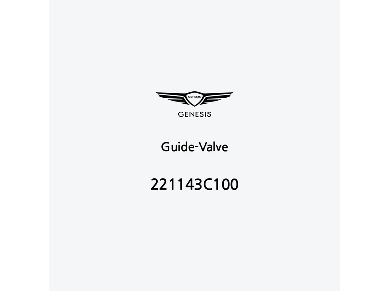 guide-valve-221143c100-pt