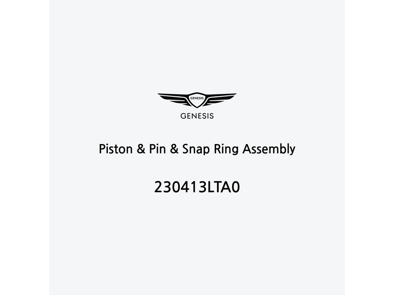 piston-and-pin-and-snap-ring-assembly-230413lta0